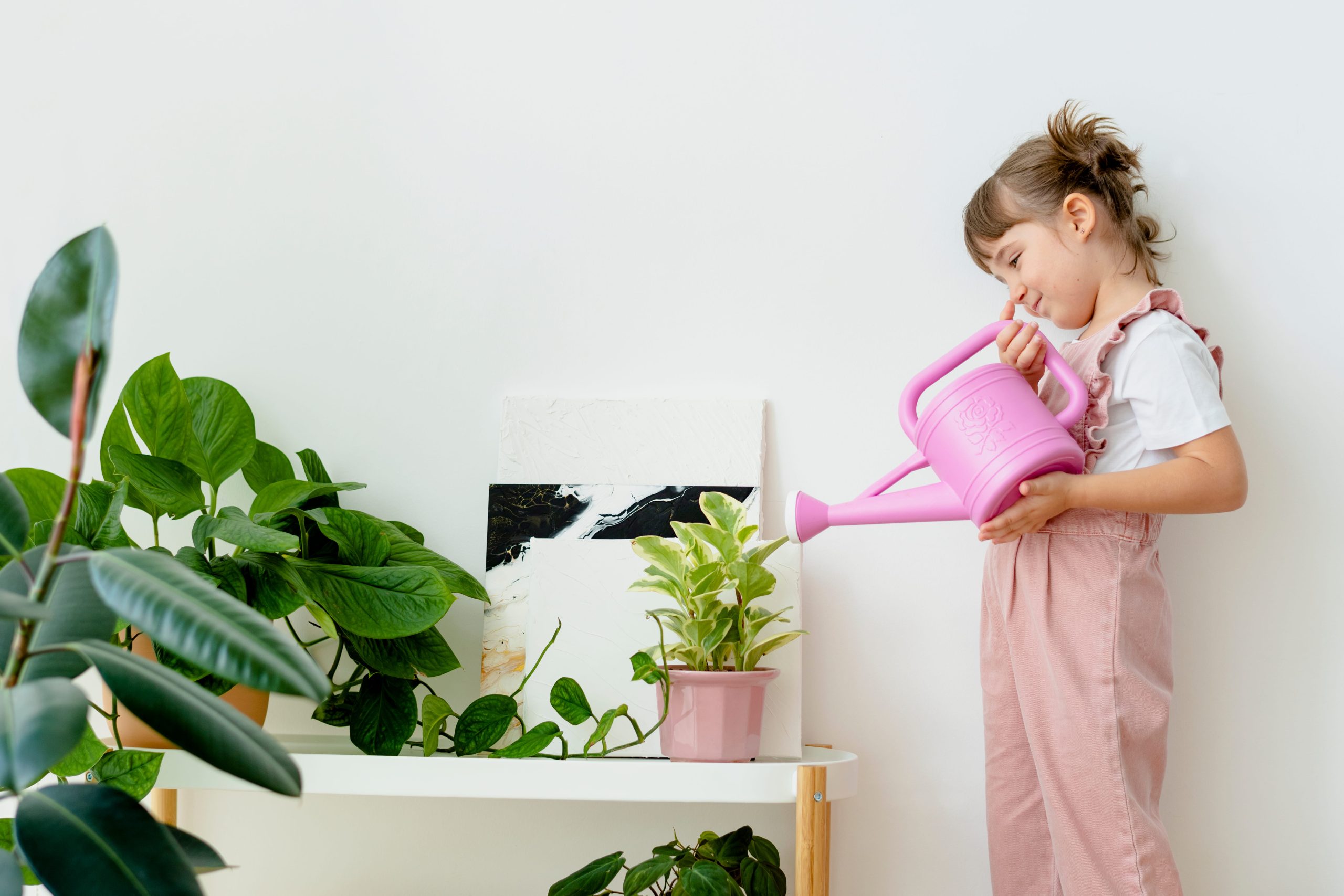Growing Isn't Just for Grown Ups