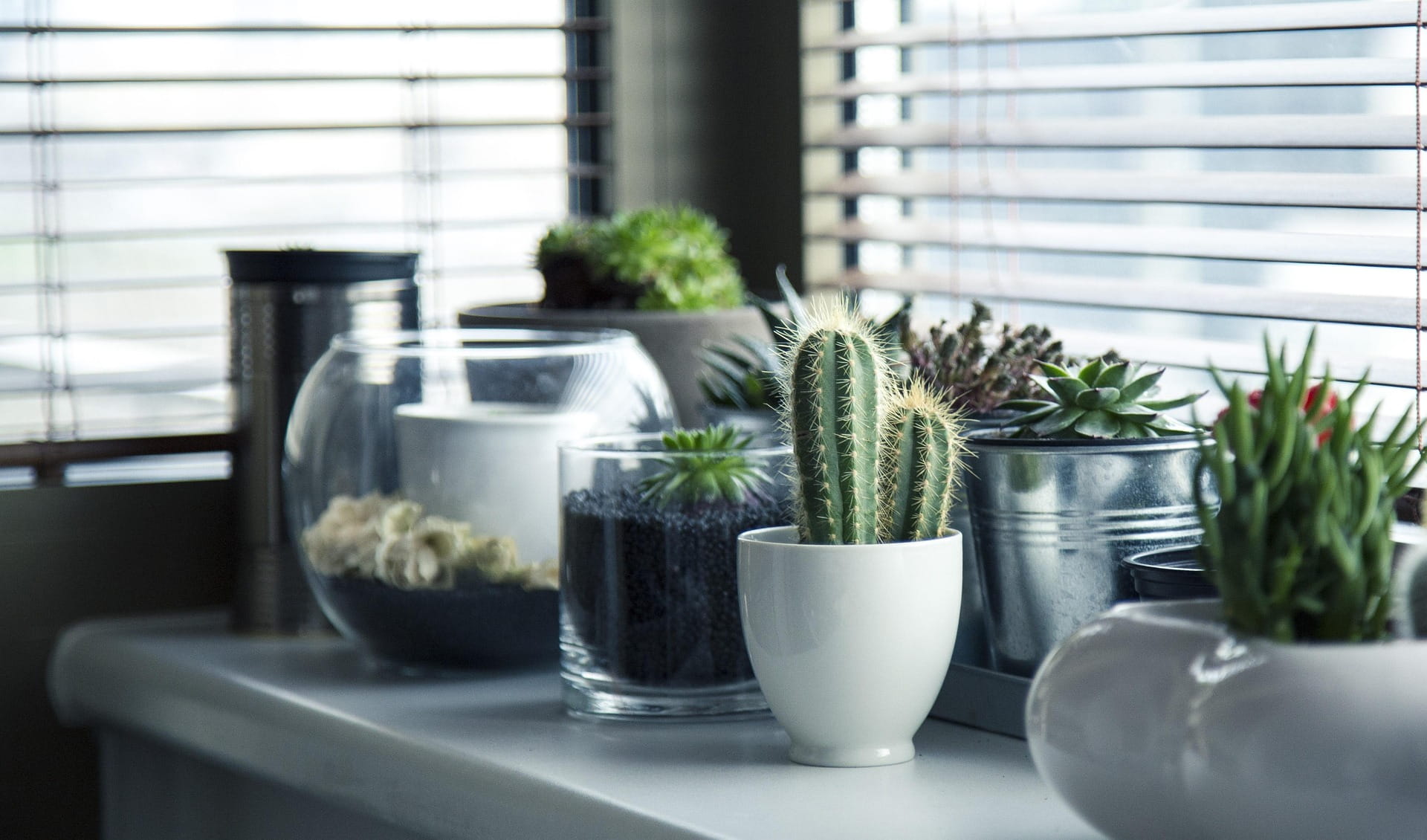 Why People Move Beyond Simple Pots